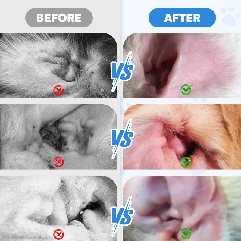 🐾 BUY 2 GET 1 FREE! ✨ Pet Ear Cleaner - Gentle Formula with Soothing Aloe for Dogs & Cats, Prevents Infections & Odor 🌿👂